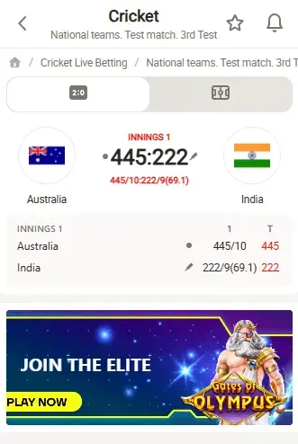 Cricket Match