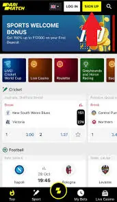 Cricket Teams